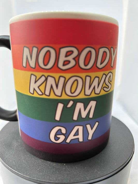 nobody knows im gay mug