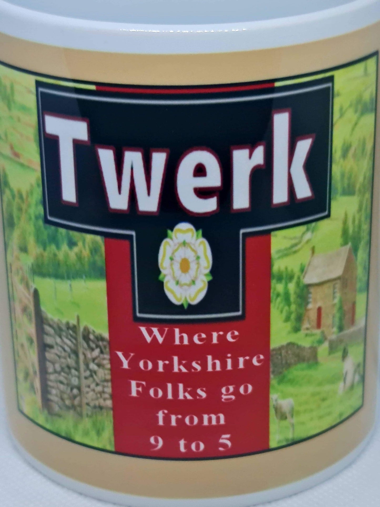 Twerk northern England funny mug
