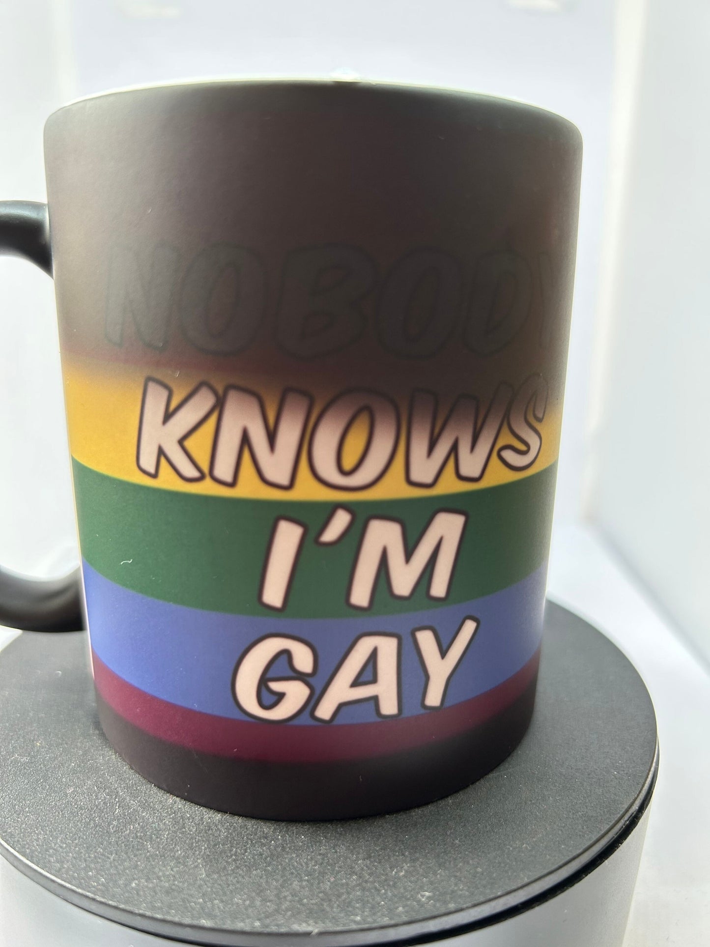 nobody knows im gay mug