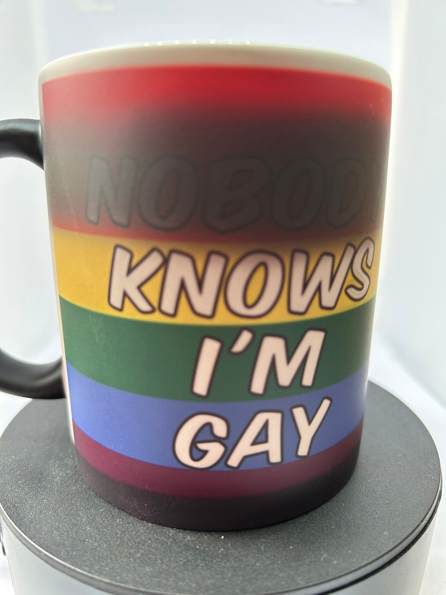 nobody knows im gay mug