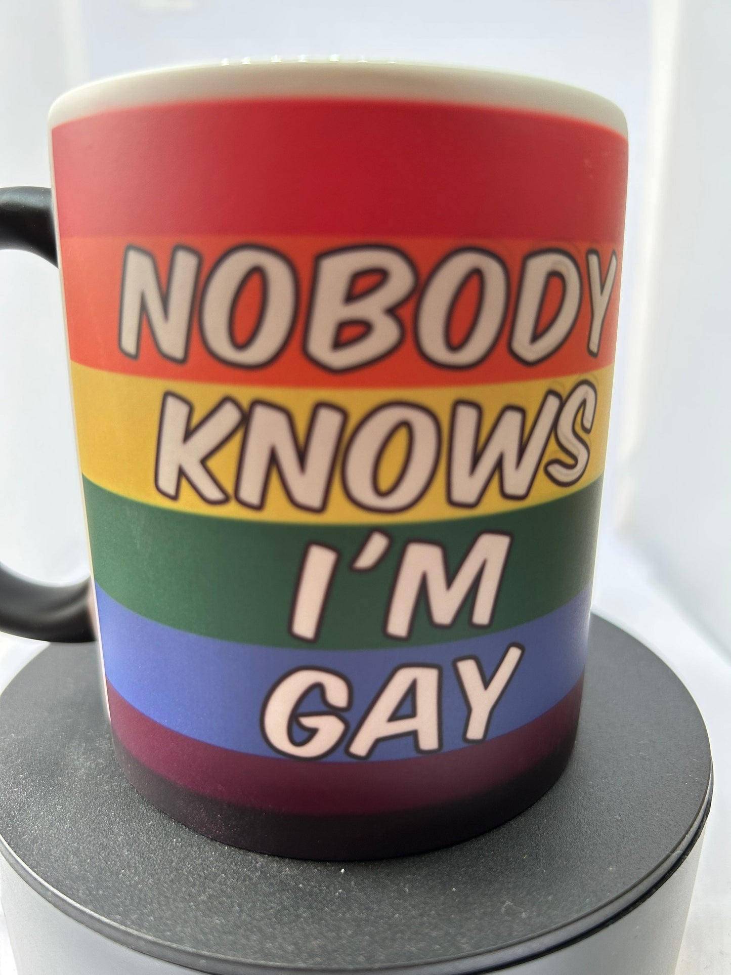nobody knows im gay mug
