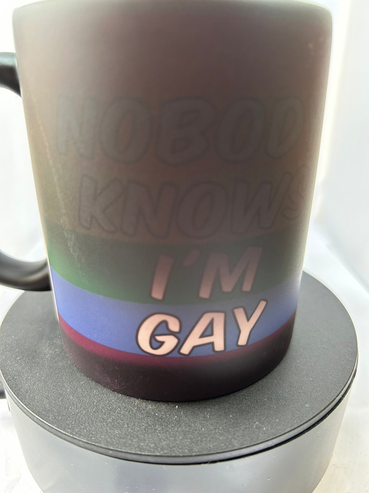 nobody knows im gay mug