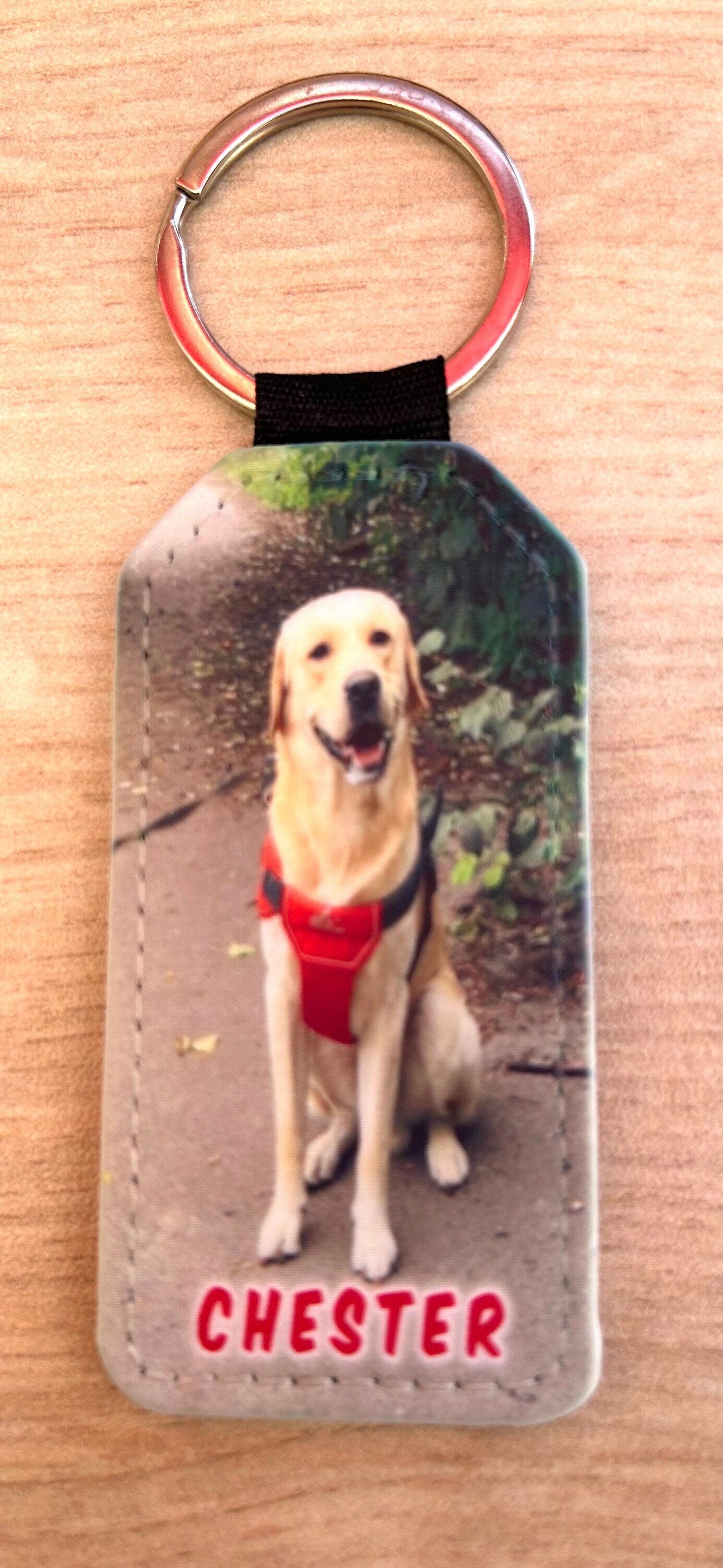 Personalised Pet Keyring