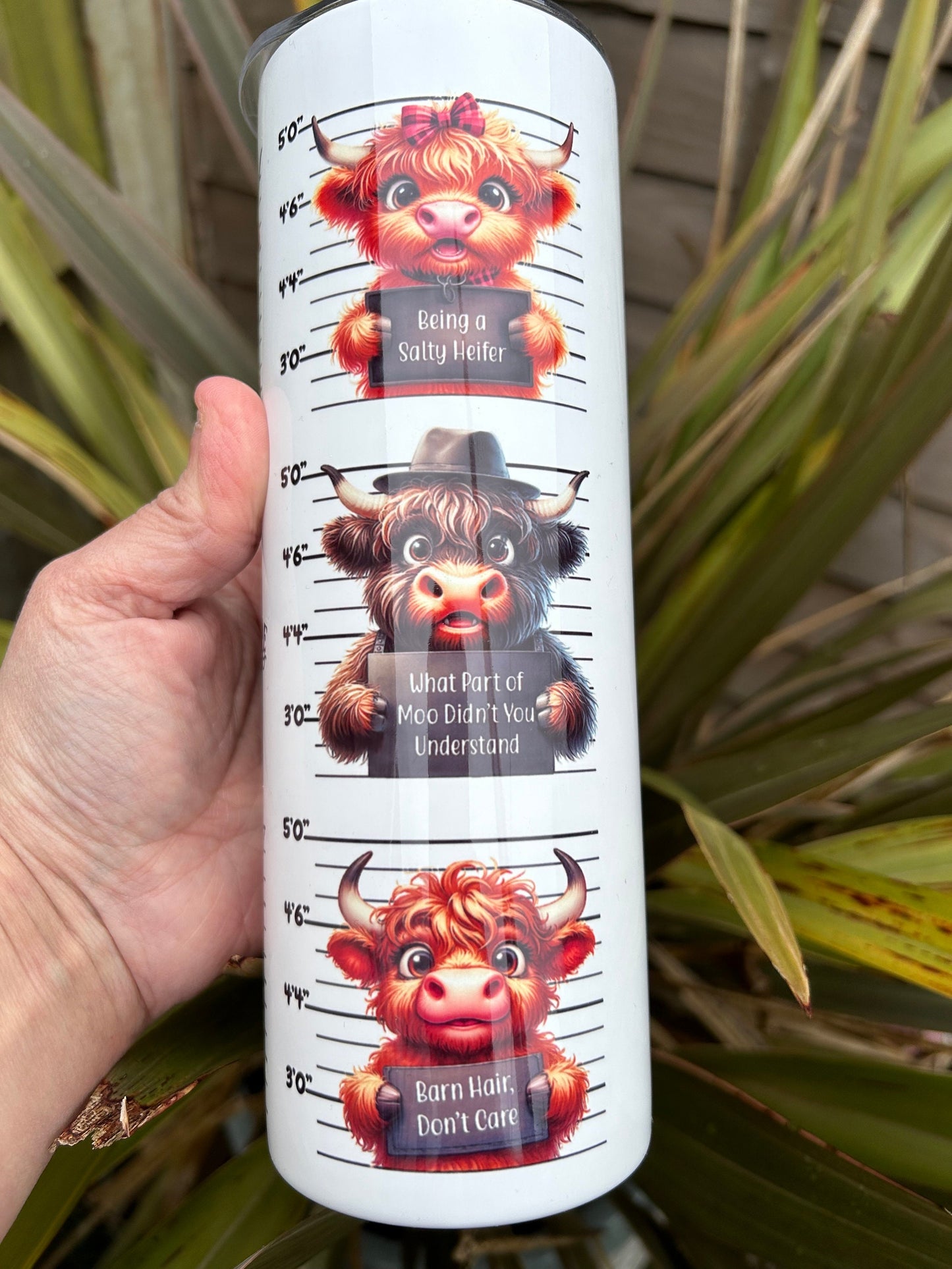 20oz In trouble highland cow  tumbler and straw