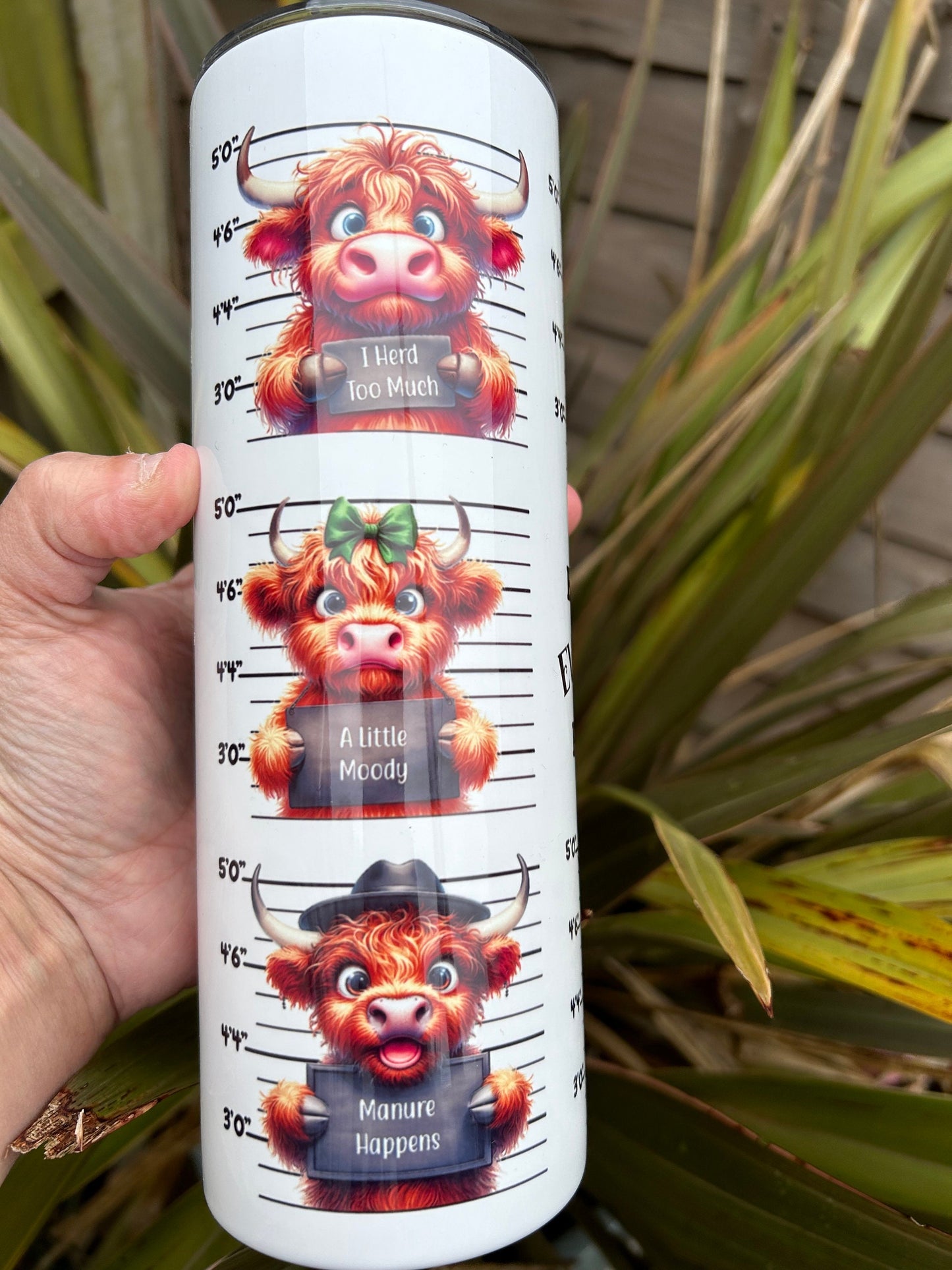 20oz In trouble highland cow  tumbler and straw